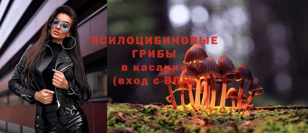 mix Бородино